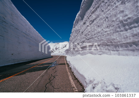 Murodo's famous snow Otani walk in spring Murodo's famous snow Otani walk in spring 103861337