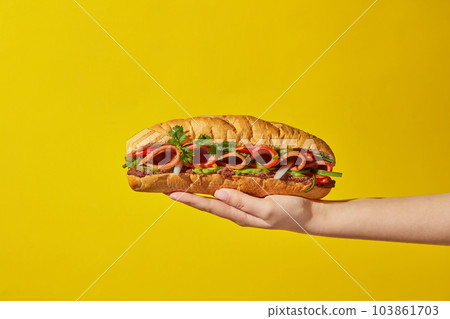 In the woman's hand is a Vietnamese bread filled with meat, rolls and pate served with vegetable on a yellow background. Advertising photo, Vietnamese street food. Front view, copy space In the woman's hand is a Vietnamese bread filled with meat, rolls and pate served with vegetable on a yellow background. Advertising photo, Vietnamese street food. Front view, copy space 103861703