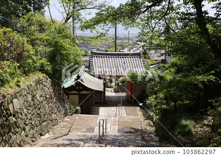 奈良縣大和郡山市八田寺, 近鐵奈良線, 近鐵橿原線, 雨季, 繡球花, 繡球花寺, goshuin 奈良縣大和郡山市八田寺, 近鐵奈良線, 近鐵橿原線, 雨季, 繡球花, 繡球花寺, goshuin 103862297