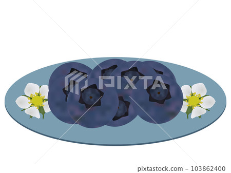 “藍莓水果”盤裝花卉圖案 103862400