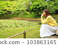 woman looking at water lilies 103863165