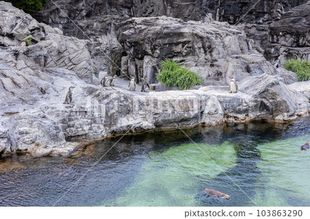 開賽海濱水族館 開賽海濱水族館 103863290