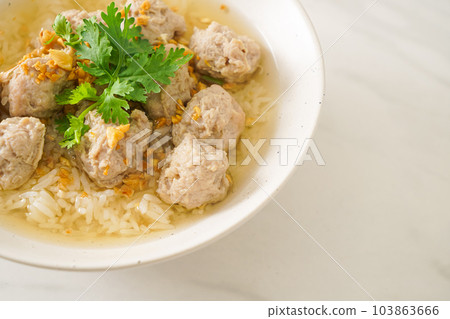 Boiled Rice with Pork Bowl 103863666