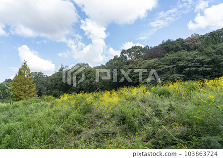 三木山的御水岸 103863724