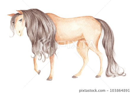 Watercolor painting of horse. Animal illustration. Watercolor painting of horse. Animal illustration. 103864891
