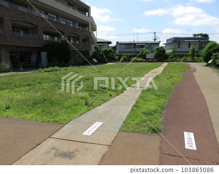 Ruins of the historic Tosando Musashiji Route in Nishimotomachi, Kokubunji City (Musashi Kokubunji Ruins Northern Area) Ruins of the historic Tosando Musashiji Route in Nishimotomachi, Kokubunji City (Musashi Kokubunji Ruins Northern Area) 103865086
