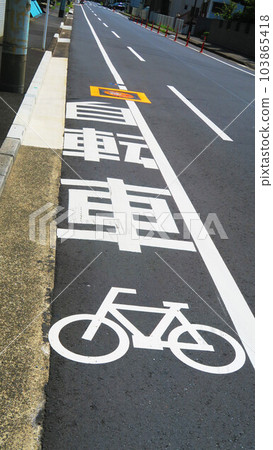 Road scenery with bicycle lane indication Road scenery with bicycle lane indication 103865418