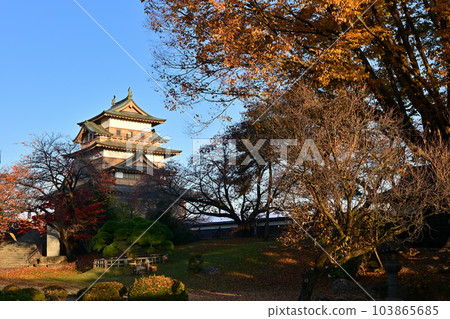 Takashima Castle in the morning sun Takashima Castle in the morning sun 103865685