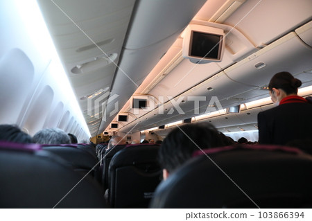 cabin cabin 103866394