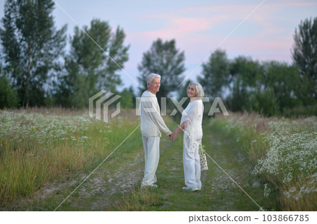 Happy nice mature couple walking together outdoors Happy nice mature couple walking together outdoors 103866785