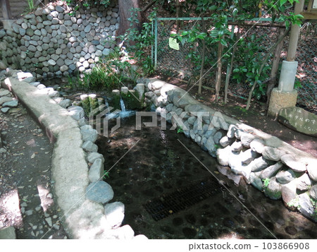 Kokubunji City's Shinsugataike Spring Group (spring source) Kokubunji City's Shinsugataike Spring Group (spring source) 103866908
