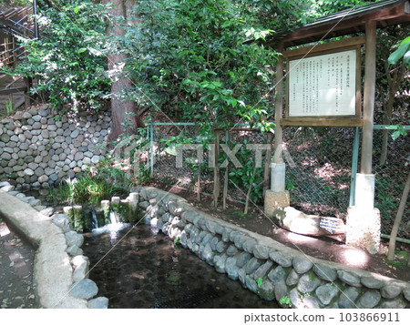 Kokubunji City's Shinsugataike Spring Group (spring source) Kokubunji City's Shinsugataike Spring Group (spring source) 103866911