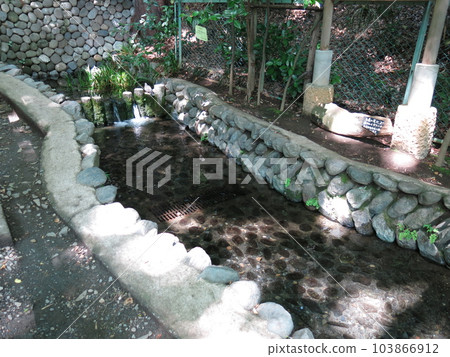 Kokubunji City's Shinsugataike Spring Group (spring source) Kokubunji City's Shinsugataike Spring Group (spring source) 103866912