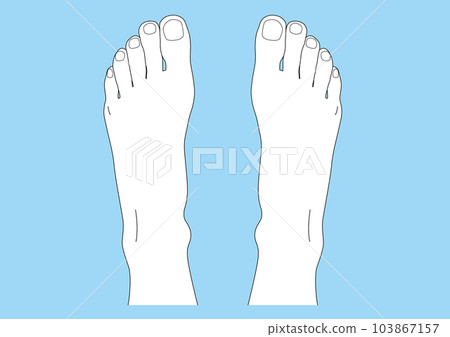 Human body parts instep foot finger line drawing nail skin both feet background blue 103867157