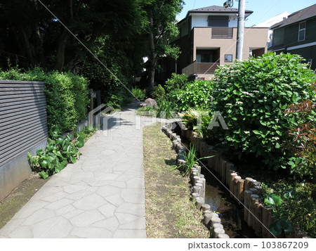 Taka no Michi, Kokubunji City (junction to Shinsugataike springs) Taka no Michi, Kokubunji City (junction to Shinsugataike springs) 103867209