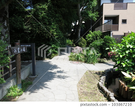 Taka no Michi, Kokubunji City (junction to Shinsugataike springs) Taka no Michi, Kokubunji City (junction to Shinsugataike springs) 103867210