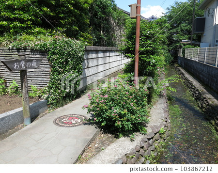 Taka no Michi in Kokubunji City Taka no Michi in Kokubunji City 103867212