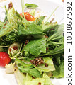 Organic Salad on White Plate Close Up View. 103867592