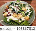 Organic Salad Bacon Toast on Plate. for Health Concept. 103867612