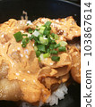 Japanese Rice Sliced Pork and Spring onion. Close Up 103867614