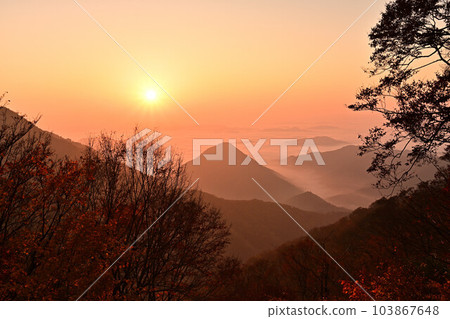 Ooyama的雲海 103867648