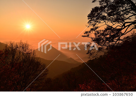 Ooyama's sea of clouds Ooyama's sea of clouds 103867650