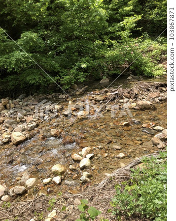 有綠樹和石頭的風景和一條緩緩流動的河流 有綠樹和石頭的風景和一條緩緩流動的河流 103867871