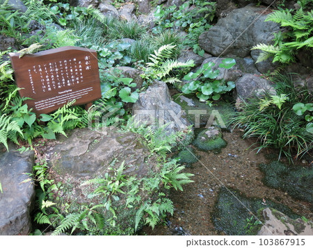 Spring water source in Tonogayato garden in Kokubunji city Spring water source in Tonogayato garden in Kokubunji city 103867915