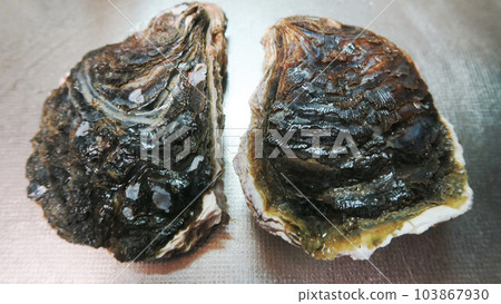 兩個岩牡蠣的風景 兩個岩牡蠣的風景 103867930