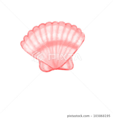 shell shellfish clam shell shellfish clam 103868195