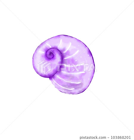 shell shellfish clam shell shellfish clam 103868201