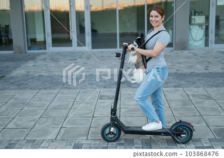 A woman rides an electric scooter with a dog in a backpack. Pappilion Spaniel Continental in a sling. 103868476