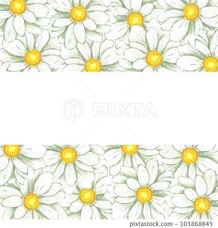 Hand drawn watercolor chamomile frame isolated on white background. Can be used for print, postcard, poster, book decoration and other printed products. 103868645