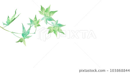 美麗的綠楓夏季圖像框架水彩插圖 103868844