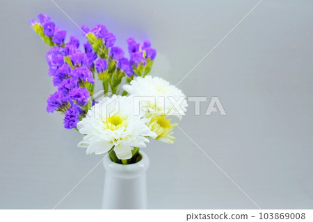 白色背景的陶瓶中的白菊花和紫色靜物佛花 103869008