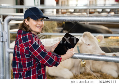 Woman farmer with tablet at a dairy farm. 103869111