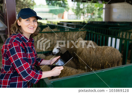 Woman farmer with tablet in a sheepfold. Woman farmer with tablet in a sheepfold. 103869128
