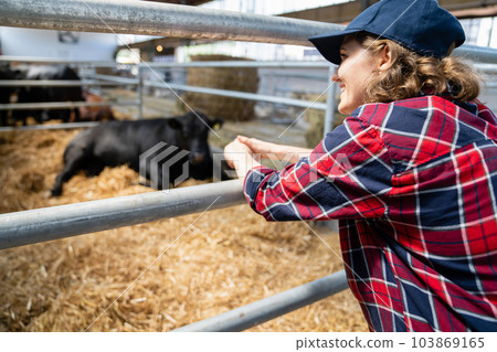 Woman at a dairy farm Woman at a dairy farm 103869165