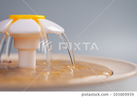 Cat drinking fountain in the shape of a flower with water 103869939