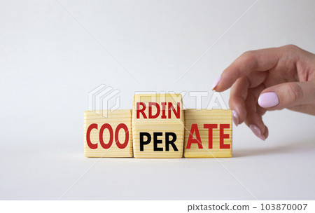 Cooperate and Coordinate symbol. Businessman hand points at wooden cubes with words Cooperate and Coordinate. Beautiful white background. Business concept. Copy space Cooperate and Coordinate symbol. Businessman hand points at wooden cubes with words Cooperate and Coordinate. Beautiful white background. Business concept. Copy space 103870007