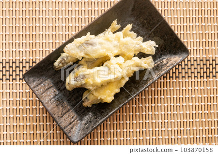 Tempura of aleurita 103870158