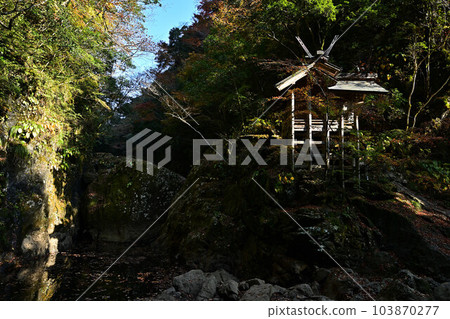 Amanoiwato Shrine in Autumn 103870277