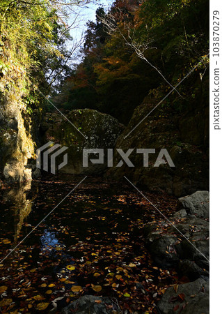 Amanoiwato Shrine in Autumn Amanoiwato Shrine in Autumn 103870279