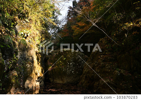 Amanoiwato Shrine in Autumn 103870283