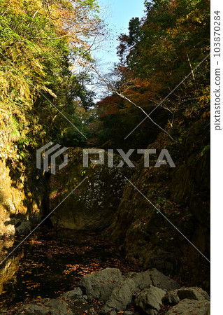 Amanoiwato Shrine in Autumn 103870284