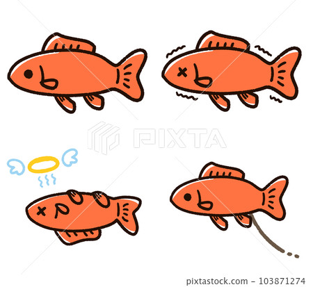 Cute Goldfish Set Wakane 103871274