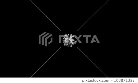Fireworks explode, fall smoothly and abruptly scatter into small fast chaotic particles dark background. Chaos Fireworks explode, fall smoothly and abruptly scatter into small fast chaotic particles dark background. Chaos 103871382