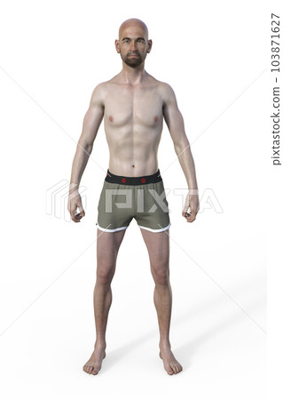 A 3D illustration of a male body with ectomorph body type A 3D illustration of a male body with ectomorph body type 103871627
