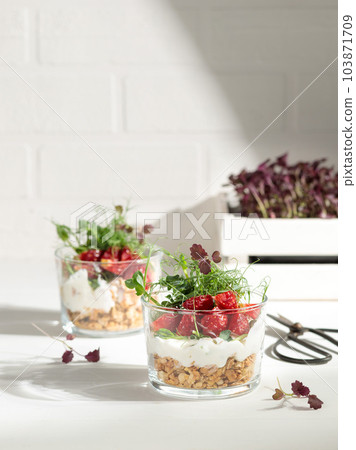Gourmet dessert, breakfast with ganola, yogurt, microgreens and berries. Vertical frame, light background, selective focus Gourmet dessert, breakfast with ganola, yogurt, microgreens and berries. Vertical frame, light background, selective focus 103871709