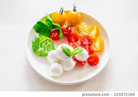 tomato and mozzarella cheese 103872160